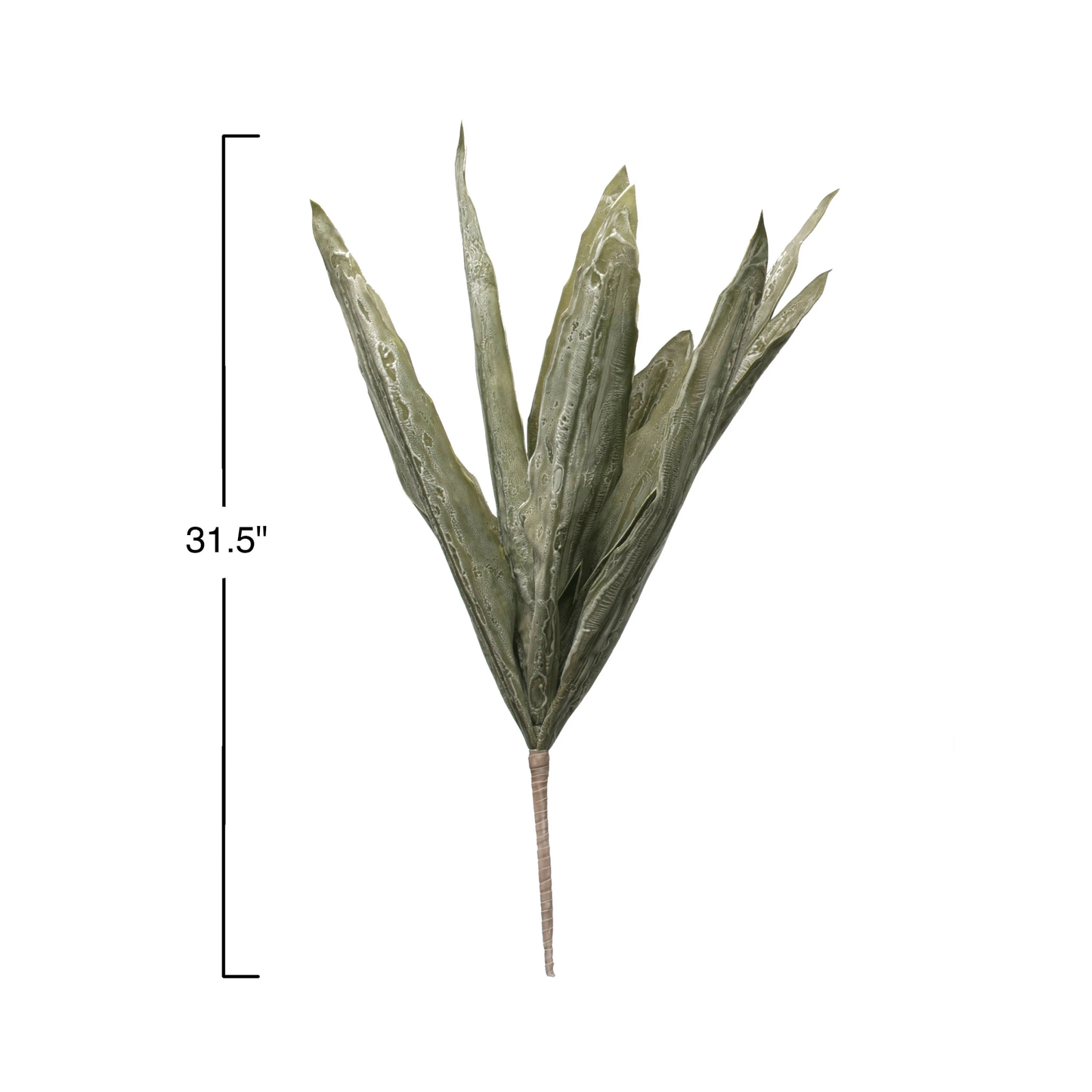 Leaf Stem