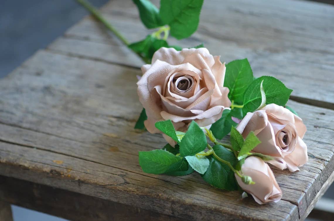 Antique Blush 27' Real Touch Rose Stem